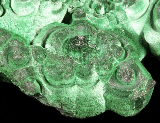 Fibrous Malachite Crystal Cluster - Congo #45337